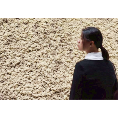 截圖 2026-05-16 晚上8.15.19.png